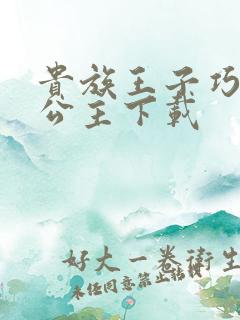 贵族王子巧遇穷公主下载