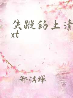 失踪的上清寺txt