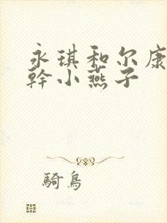 永琪和尔康一起干小燕子