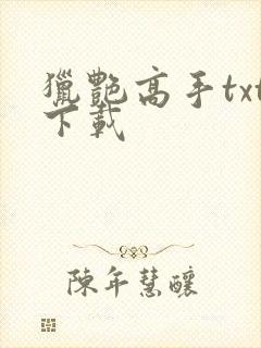 猎艳高手txt下载