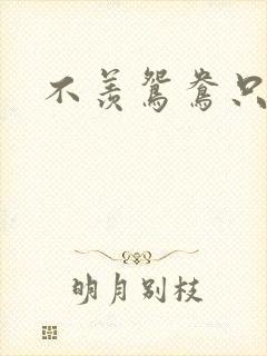 不羡鸳鸯只羡狐