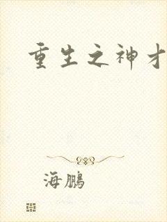 重生之神才风流