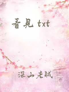 看见 txt