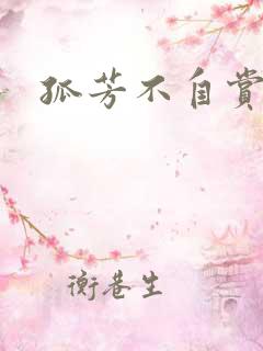 孤芳不自赏小说