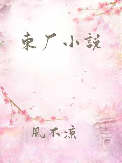 东厂小说