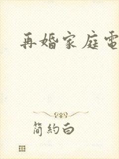 再婚家庭电视剧