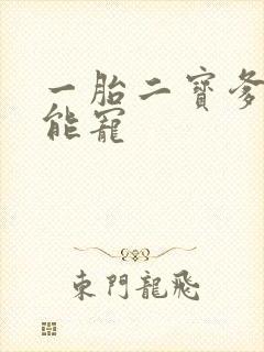 一胎二宝爹地超能宠