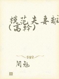 模范夫妻离婚了(高干)