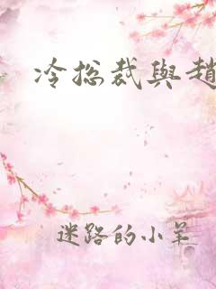 冷总裁与赵大牌