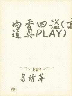 肉香四溢(高H道具PLAY)