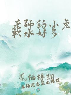 老师的小兔子好软水好多