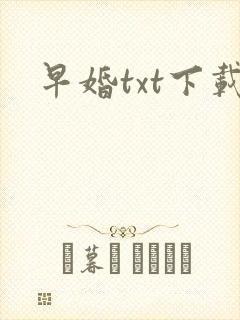 早婚txt下载