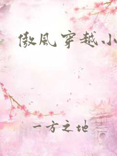 傲风穿越小说吧