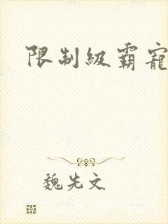 限制级霸宠