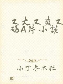 又大又爽又黄无码A片小说