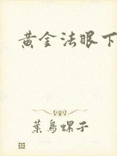 黄金法眼下载