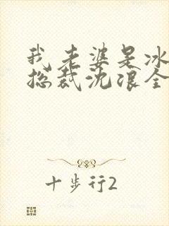 我老婆是冰山女总裁沈浪全集