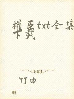 权臣txt全集下载