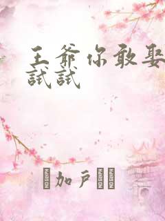 王爷你敢娶小三试试