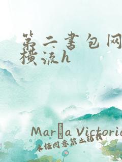 第二书包网蜜汁横流h
