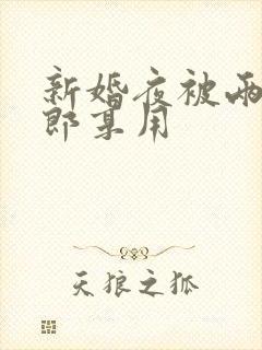 新婚夜被两个伴郎享用