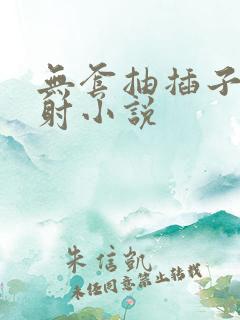 无套抽插子宫内射小说