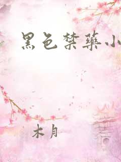 黑色禁药小说