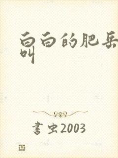 白白的肥岳嗷嗷叫