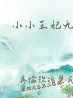 小小王妃九岁半