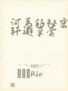 河马的秘密河文轩避孕套