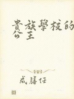 贵族学校的双面公主