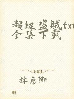 超级盗贼txt全集下载