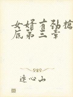 女婿有劲枪枪到底第三章