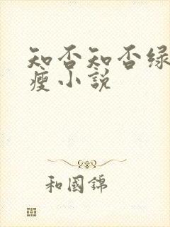 知否知否绿肥红瘦小说