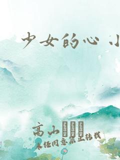 少女的心 小说