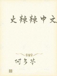 火辣辣中文网