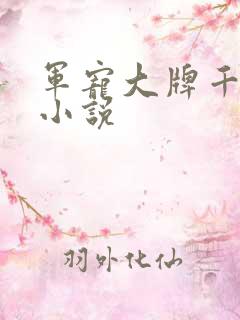 军宠大牌千金 小说