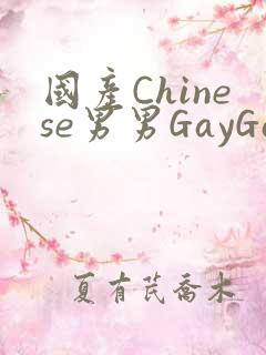 国产Chinese男男GayGayAPP
