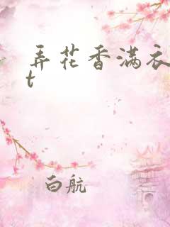 弄花香满衣txt