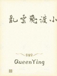 乱云飞渡小说