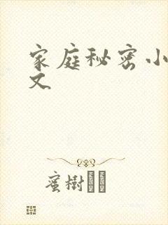 家庭秘密小说全文