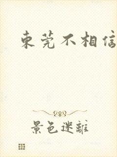 东莞不相信眼泪