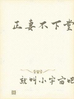 正妻不下堂
