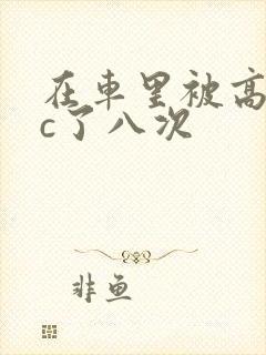 在车里被高潮被c了八次