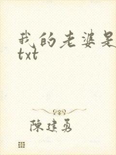 我的老婆是上司txt