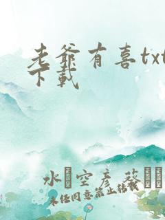 老爷有喜txt下载