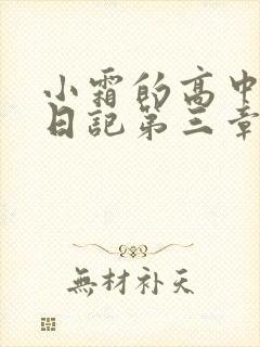 小霜的高中成长日记第三章