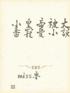 小皇帝被大臣轮番宠爱小说