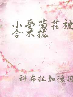 小受菊花被双龙合不拢