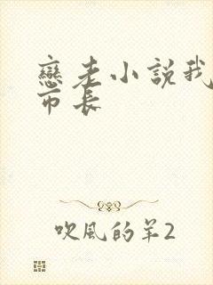 恋老小说我和老市长